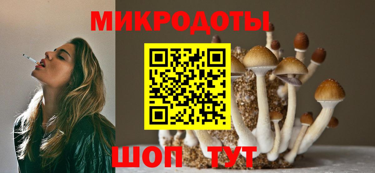 Северск  Псилоцибиновые грибы MAGIC MUSHROOMS  Галлюциногенные грибы мицелий  Вход с VPN 